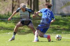 Kreisliga - Saison 2024/25- SV Menning - TSV Ober/Unterhaunstadt-  - Amadeus Taubert grau Ober/Haunstadt - Moritz Mayerhofer blau Menning - Foto: Meyer Jürgen