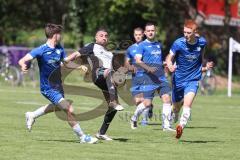 Kreisliga - Saison 2024/25- SV Menning - TSV Ober/Unterhaunstadt-  - Fardin Gholami grau Ober/Haunstadt - Moritz Faigle blau Menning - Moritz Mühlrath blau links Menning - Foto: Meyer Jürgen