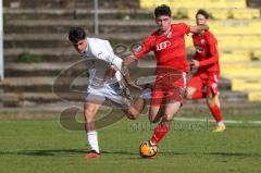2023_10_21 - Saison 2023/24 - A-Junioren - FC Ingolstadt 04 - TSG 1899 Hoffenheim - Erdal Izzet weiss Hoffenheim - Draculic Ognjen rot FCI -  - Foto: Meyer Jürgen