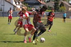 A-Junioren Bundesliga  - Saison 2026/27 - A-Junioren - FC Ingolstadt 04 - Jahn Regensburg - Maximilian Dobler weiss Regensburg - Elom Apemegno rot FCI - Foto: Meyer Jürgen