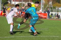 Kreisliga - Saison 2022/2023 - TSV Gaimersheim - FC Hitzhofen/Oberzell - Patrick Schwarz gelb Hitzhofen - Stefan Seitz Torwart Hitzhofen - Jan Witek weiss Gaimersheim - Foto: Meyer Jürgen