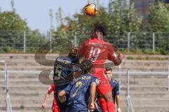 A - Junioren Bundesliga -  Saison 2023/2024 - FC Ingolstadt 04 - FSV Mainz 05 - Amour Nnokoson rot FCI - Jason Aman #5 Mainz - Foto: Meyer Jürgen
