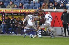 2023_11_11 - 3. Liga - Saison 2023/24 - MSV Duisburg - FC Ingolstadt 04 - Benjamin Kanuric (Nr.8 - FCI) - Thomas Pledl (Nr.10 - MSV Duisburg) - Foto: Meyer Jürgen