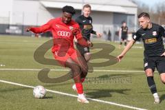 Bayernliga Nord - Saison 2023/24 - FC Ingolstadt 04 II - SpVgg Hankofen-Hailing - Udebuluzor Michael rot FCI - XXXXX - Foto: Meyer Jürgen