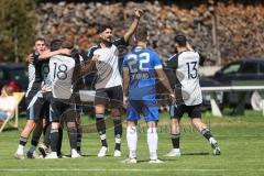 Kreisliga - Saison 2024/25- SV Menning - TSV Ober/Unterhaunstadt-  -  Der 0:1 Führungstreffer - jubel  -  - XXXXX - Foto: Meyer Jürgen