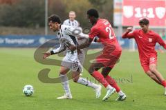 3. Liga; TSV Havelse - FC Ingolstadt 04; Nishan Velupilay (28 FCI) Nduka Donald (27 TSV) Grzywacz Eryk (12 TSV)