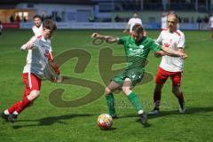 Landesliga - Saison 2024/25 - SV Manching - FC Gundelfingen - Jannik Noller weiss Gundelfingen re - Johannes Dexl (Nr.13 - SV Manching) - David Anzenhofer weiss Gundelfingen links - Foto: Meyer Jürgen
