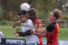 2023_11_5 - SV Kasing - TV Münchsmünster - Kreisliga - Saison 2023/24 - Andre Bräuning grau Münchsmünster - Tobias Wolfsfellner rot Kasing - Bernd Noll rechts rot Kasing -  Foto: Meyer Jürgen