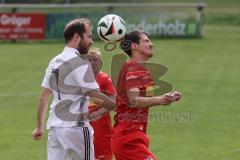 Kreisliga - Saison 2024/25- TSV Kösching - TSV Hohenwart - Sebastian Herker weiss Hohenwart - Johannes Tannwitz rot Kösching - Foto: Meyer Jürgen