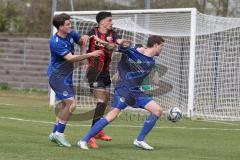 Bayernliga Nord - Saison 2024/25 - FC Ingolstadt 04 II - Würzburger FV 04 - Davide Sekulovic (Nr.7 - FCI U21) - Gobbo Fabio blau Würzburg links - Hansen Hendrik blau Würzburg - Foto: Meyer Jürgen