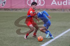 A-Junioren - Bundesliga Süd FC Ingolstadt 04 - TSG 1899 Hoffenheim - Giulio Conti (Nr.16 - FCI A-Junioren) rot - Dagdeviren Diren blau Hoffenheim -  Foto: Meyer Jürgen