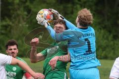 Landesliga - Saison 2024/25 - SV Manching - FC Kempten - Simon Berger (Nr.5 - SV Manching) - Siebken Christoph Torwart Kempten - Foto: Meyer Jürgen
