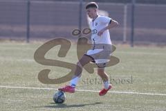U17 DFB-Nachwuchsliga - Saison 2024/25 - FC Ingolstadt 04 - TSG Hoffenheim - XXXXX - XXXXX - Foto: Meyer Felix Walther weiss FCI