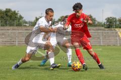 A-Junioren - Bundesliga Süd Fc Ingolstadt 04 - Eintracht Frabkfurt -  Sekulovic Davide #7 rot FCI - Foto: Meyer Jürgen