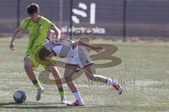 U17 DFB-Nachwuchsliga - Saison 2024/25 - FC Ingolstadt 04 - TSG Hoffenheim - Alexander Meyer weiss FCI - Maximilian Theuer gelb Hoffenheim - Foto: Meyer Jürgen