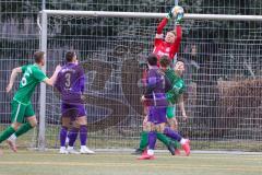 Testspiel - Fußball - SV Manching - VFR Neuburg/Donau  - Seferovic Dzenis grün Manching beim Kopfball - Mayr Philipp Torwart Neuburg - Foto: Jürgen Meyer