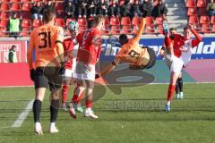 2024_1_20 - 3. Liga - Saison 2023/24 - HallescherFC - FC Ingolstadt 04 -  - Daouda Beleme (Nr.9 - FC Ingolstadt 04) mit der Vorlage zum 1:1 Ausgleichstreffer durch Yanick Deichmann (Nr.20 - FC Ingolstadt 04) - jubel -  - XXXXX - Foto: Meyer Jürgen