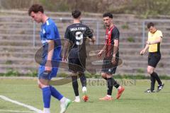 Bayernliga Nord - Saison 2024/25 - FC Ingolstadt 04 II - Würzburger FV 04 - - jubel - Davide Sekulovic (Nr.7 - FCI U21) schiesst zum 1:0 Führungstreffer ein- Foto: Meyer Jürgen