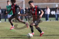 U19 - Nachwuchsliga -  - Saison 2024/25 - FC Ingolstadt 04 - 1. FC Schweinfurth - Baran Berk rot FCI - XXXXX - Foto: Meyer Jürgen