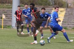Bayernliga Nord - Saison 2024/25 - FC Ingolstadt 04 II - Würzburger FV 04 - Jason Osei Tutu (Nr.11 - FCI U21) - Hansen Hendrik blau Würzburg - wird gefoult im Strafraum und es gibt Eflmeter - jubel - Foto: Meyer Jürgen