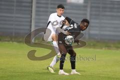 Bayernliga Nord - Saison 2024/25 - FC Ingolstadt 04 II - ATSV Erlangen - Jason Osei Tutu (Nr.11 - FCI U21) - Döring Sebastian weiss Erlangen - Foto: Meyer Jürgen