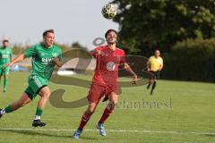 Kreisklasse - Saison 2025/26- TSV Lenting - SV Eitensheim - Dennis Volk grün Lenting - Marco Fachner rot Eitensheim - Foto: Meyer Jürgen