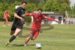 Bezirksliga - Saison 2024/25- TSV Gaimersheim - FC Fatih Ingolstadt - Philipp Stipic schwarz Gaimersheim - Erdogan Nasufaj rot Fatih - Foto: Meyer Jürgen