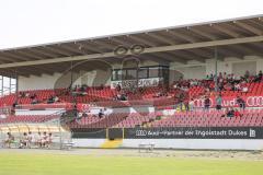 A-Junioren - Bundesliga Süd Fc Ingolstadt 04 - Eintracht Frabkfurt -  Foto: Meyer Jürgen