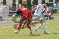 Bayernliga Nord - Saison 2023/24 - FC Ingolstadt 04 II - TSV Abtswind - Michael Udebuluzor (Nr.11 - FCI) - Wolf Max weiss Abtswind - Foto: Meyer Jürgen