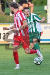 Landesliga - Saison 2025/26 - SV Manching - TSV Dachau  - Fabian  Neumayer (Nr.9 - SV Manching) - XXXXX - Foto: Meyer Jürgen