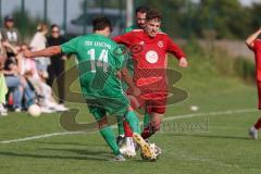 Kreisklasse - Saison 2025/26- TSV Lenting - SV Eitensheim - Basrian Schiweck grün Lenting - Tobias Springer rot Eitensheim - Foto: Meyer Jürgen