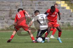 Bayernliga Nord - Saison 2023/2024 - FC Ingolstadt 04 - FC Coburg - Valentin Hoti (Nr.6 - FCI U21) - Aykut Civelek weiss Coburg - Mussa Fofanah rot FCI rechts - Foto: Meyer Jürgen