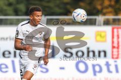 3. Liga; VfB Oldenburg - FC Ingolstadt 04; Marcel Costly (22, FCI)