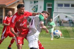Kreisklasse - Saison 2025/26- SV Lippertshofen - Türkisch SV Ingolstadt-  - Bernd Geiß weiss Lippertshofen  - Kerim Düzgün rot Türkisch - Foto: Meyer Jürgen