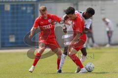 Bayernliga Nord - Saison 2023/24 - FC Ingolstadt 04 II - TSV Abtswind - Davide Sekulovic (Nr.21 - FCI) Fabio Riedl (Nr.24 - FCI) - Tuda Jayson weiss Abtswind - XXXXX - Foto: Meyer Jürgen