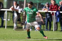 2023_10_28 - Kreisliga - Saison 2023/24 - SV Menning - FC Gerolfing  - Ananstasios Porfyriadis grün Gerolfing - Foto: Meyer Jürgen