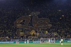 DFB Pokal; Borussia Dortmund - FC Ingolstadt 04; Arena Fankurve