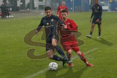 Bayernliga Süd - Saison 2021/2022 - FC Ingolstadt 04 II - TSV 1860 München II - Senger Michael (#21 FCI) - Gresler Maxim #3 blau München - Foto: Meyer Jürgen