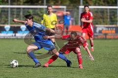 Kreisklasse - Saison 2024/25- Türk SV Ing - FC Arnsberg - Marco Maier blau Arnsberg - Renato Tuka rot Türk SV - Foto: Meyer Jürgen