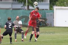 Kreisklasse - Saison 2024/25- Türkisch SV Ingolstadt - FC Gelbelsee-  - Mertcan Gürses rot Türkisch - Markus Muskat Torwart Gelbelsee - Jürgen Regler #2 Gelbelsee - Hermann Krammel schwarz hinten Gelbelsee - Foto: Meyer Jürgen