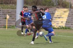 Bayernliga Nord - Saison 2024/25 - FC Ingolstadt 04 II - Würzburger FV 04 - Jason Osei Tutu (Nr.11 - FCI U21) - Hansen Hendrik blau Würzburg - wird gefoult im Strafraum und es gibt Elfmeter - jubel - Foto: Meyer Jürgen