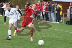 Kreisklasse - Saison 2023/2024 -SV Stammham - TSV Kösching - Stefan Winzinger rot Kösching - Timo Weber weiss Stammham - Foto: Meyer Jürgen