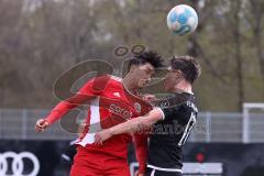 B-Junioren - Bayernliga -  Fc Ingolstadt 04 - TSG 1860 Rosenheim - Sinani Engjell schwarz FCI - Elghatous Audai rot Rosenheim -  Foto: Meyer Jürgen