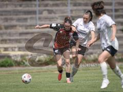 2. Bundesliga Frauen - Saison 2026/27  - FC Ingolstadt 04 Frauen - 1.FCC Turbine Potsdam - Emilie Fähnrich (Nr.5 - FCI Frauen) - Turoczy Anna Maria weiss Potsdam - Foto: Meyer Jürgen