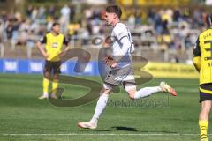 3. Liga; Borussia Dortmund II - FC Ingolstadt 04; Tor Jubel Treffer Tim Heike (9, FCI)