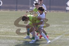 U17 DFB-Nachwuchsliga - Saison 2024/25 - FC Ingolstadt 04 - TSG Hoffenheim - Maximilian Wagner weiss FCI - Neno Zezelj gelb Hoffenheim - Foto: Meyer Jürgen