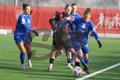 ***2. Bundesliga Frauen - Saison 2025/26 - FC Ingolstadt 04 Frauen - SV Meppen - Emma Kusch (Nr.9 - FC Ingolstadt Frauen I) - Schouwstra Chantal blau Meppen - Foto: Meyer Jürgen