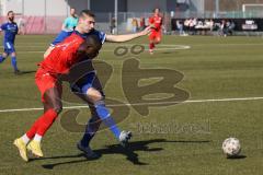 Bayernliga Süd - Saison 2022/2023 - FC Ingolstadt 04 - FC Deisenhofen - Mussa Fofanah (Nr.7 - FCI II) - Michael Bachhuber blau Deisenhofer - Foto: Meyer Jürgen