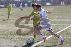 U17 DFB-Nachwuchsliga - Saison 2024/25 - FC Ingolstadt 04 - TSG Hoffenheim - Alexander Meyer weiss FCI - Maximilian Theuer gelb Hoffenheim - Foto: Meyer Jürgen