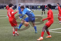 A-Junioren - Bundesliga Süd FC Ingolstadt 04 - TSG 1899 Hoffenheim - Michael Udebuluzor (Nr.9 - FCI A-Junioren) -  Gebauer Leon blau Hoffenheim - Giulio Conti (Nr.16 - FCI A-Junioren) - Foto: Meyer Jürgen